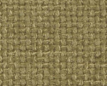 coral-506.jpg